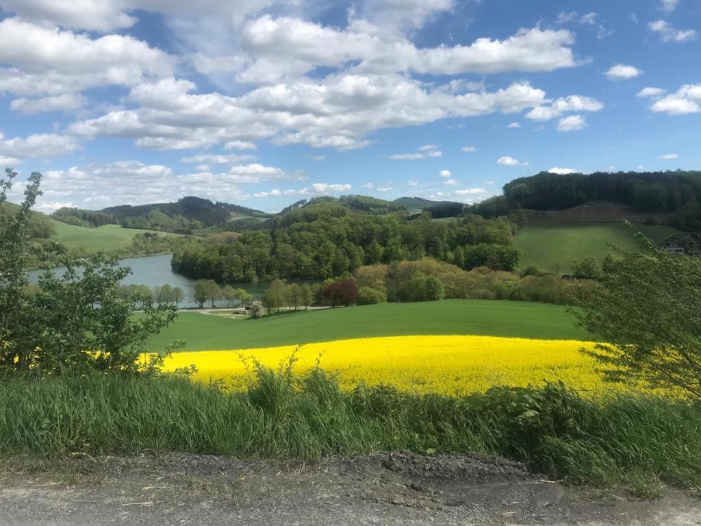 Haus Am Hennesee Meschede Dış mekan fotoğraf